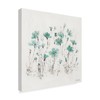 Trademark Fine Art Lisa Audit 'Wildflowers Iii Turquoise' Canvas Art, 24x24 WAP04178-C2424GG
